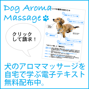 ラベンダー 犬のためのアロマ精油 ストレスケアに