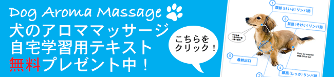 ラベンダー 犬のためのアロマ精油 ストレスケアに