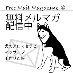 ラベンダー 犬のためのアロマ精油 ストレスケアに